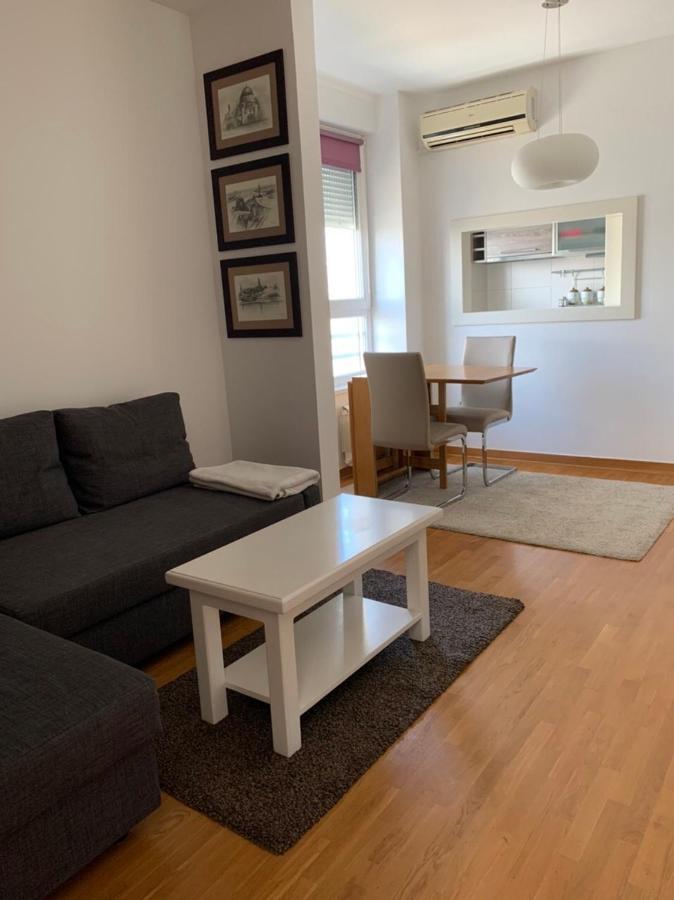 Apartament Apartman Dream Belvil Belgrad Zewnętrze zdjęcie